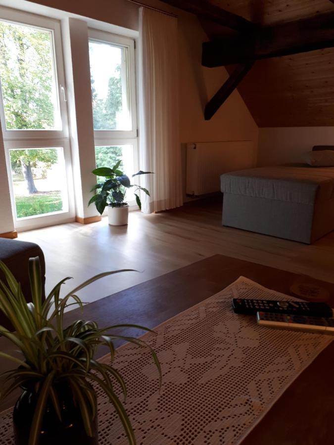 Appartement Feriendomizil Annette'S Scholle à Sondershausen Extérieur photo